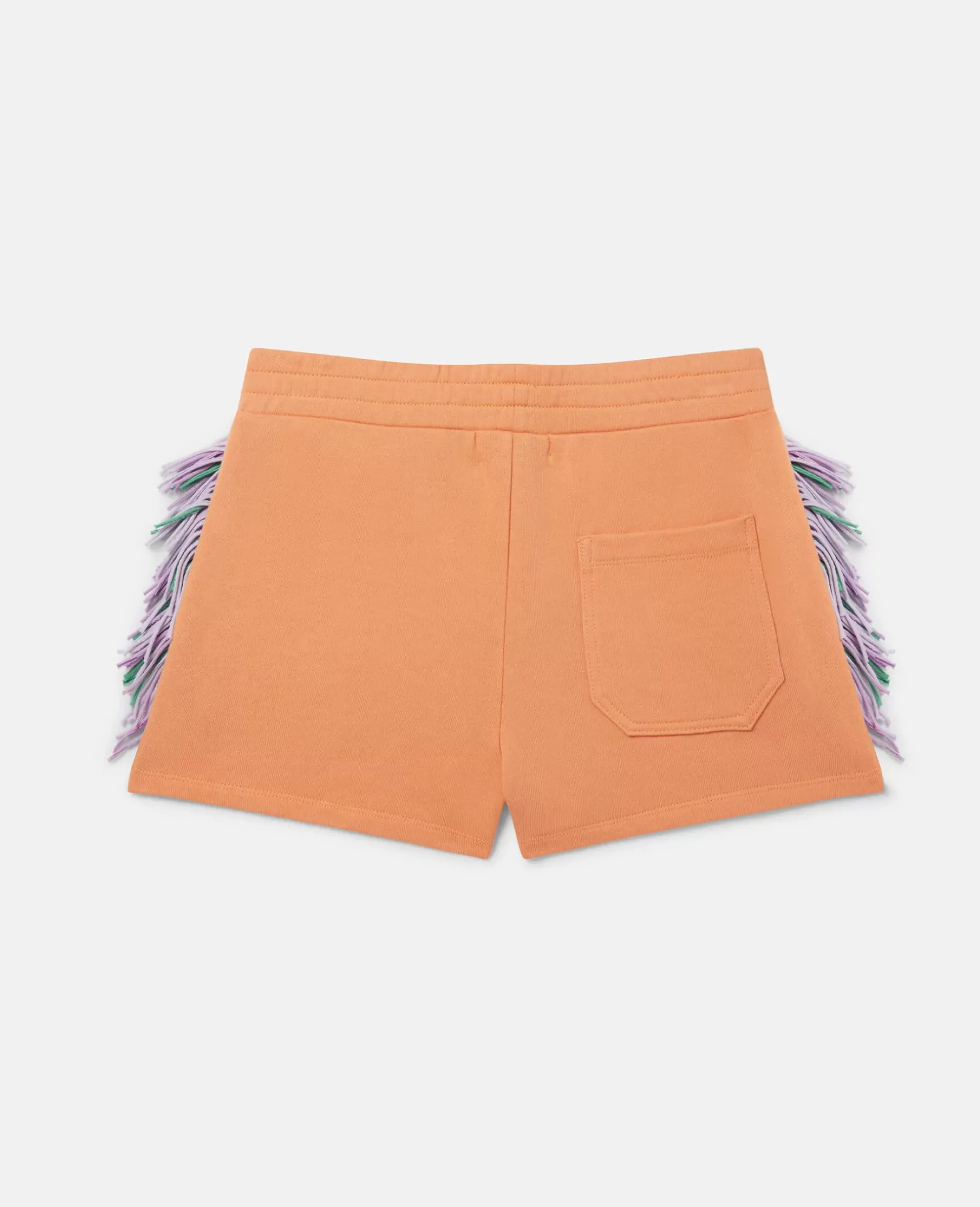 Fringed Shorts