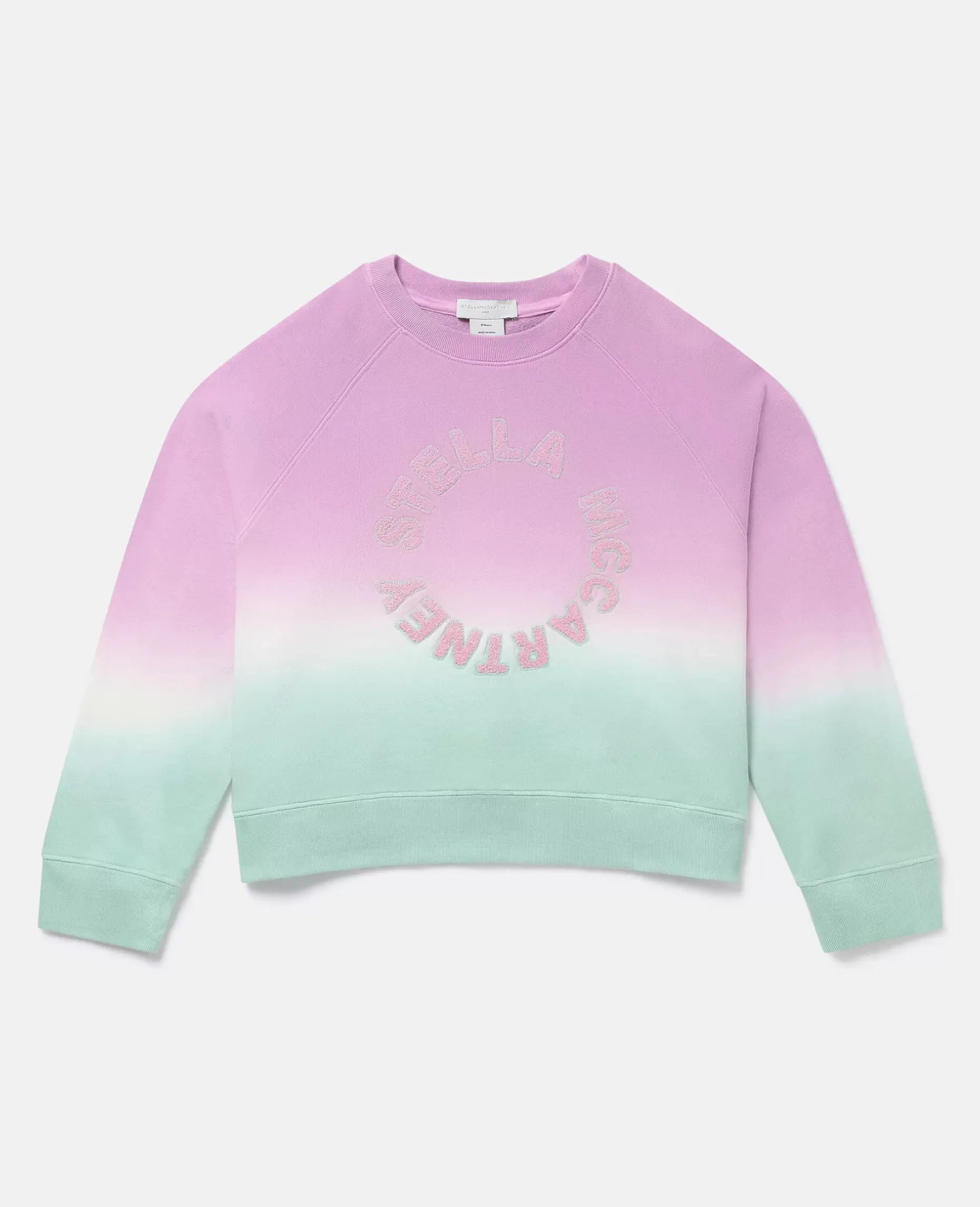 Logo Ombre Sweatshirt