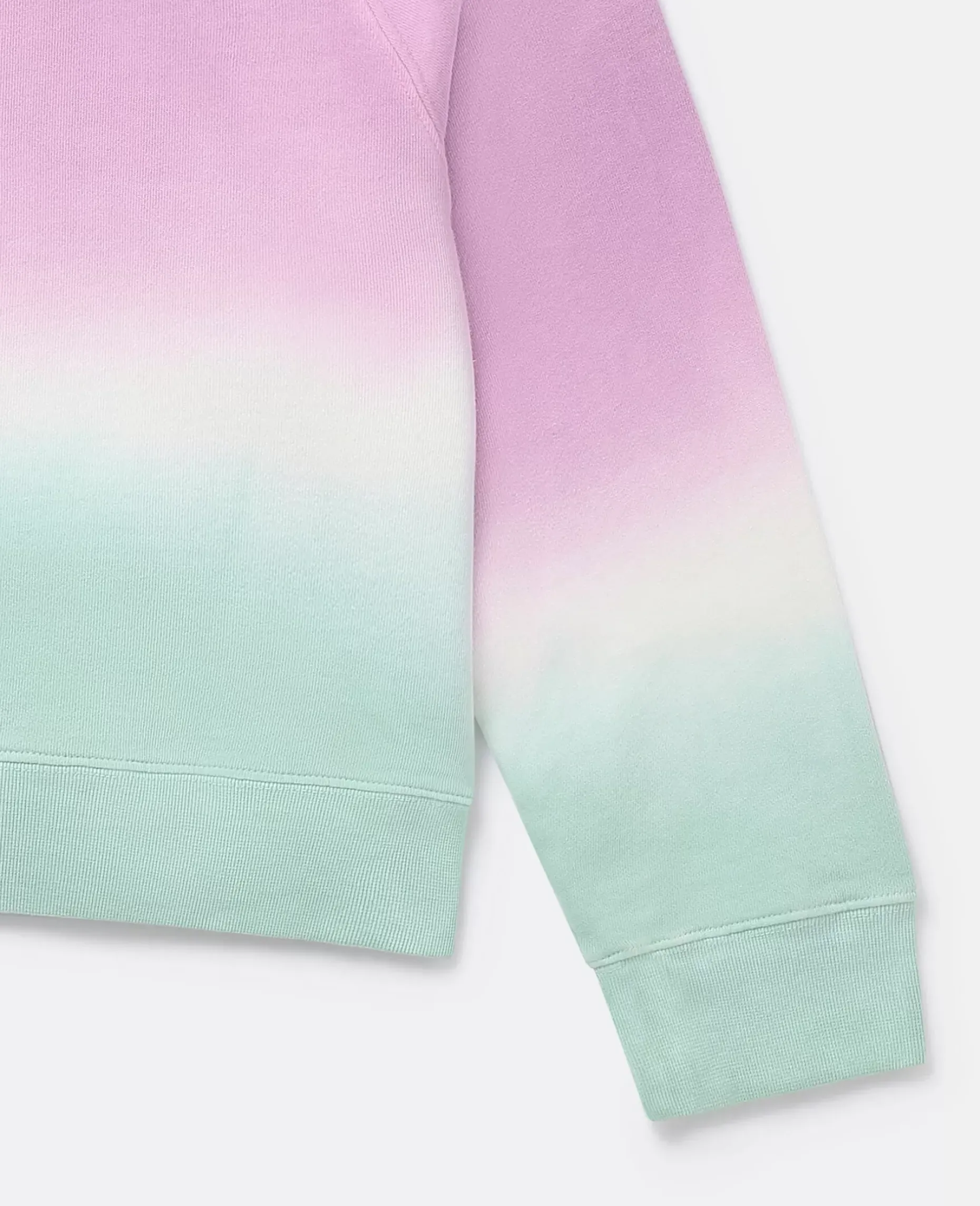Logo Ombre Sweatshirt