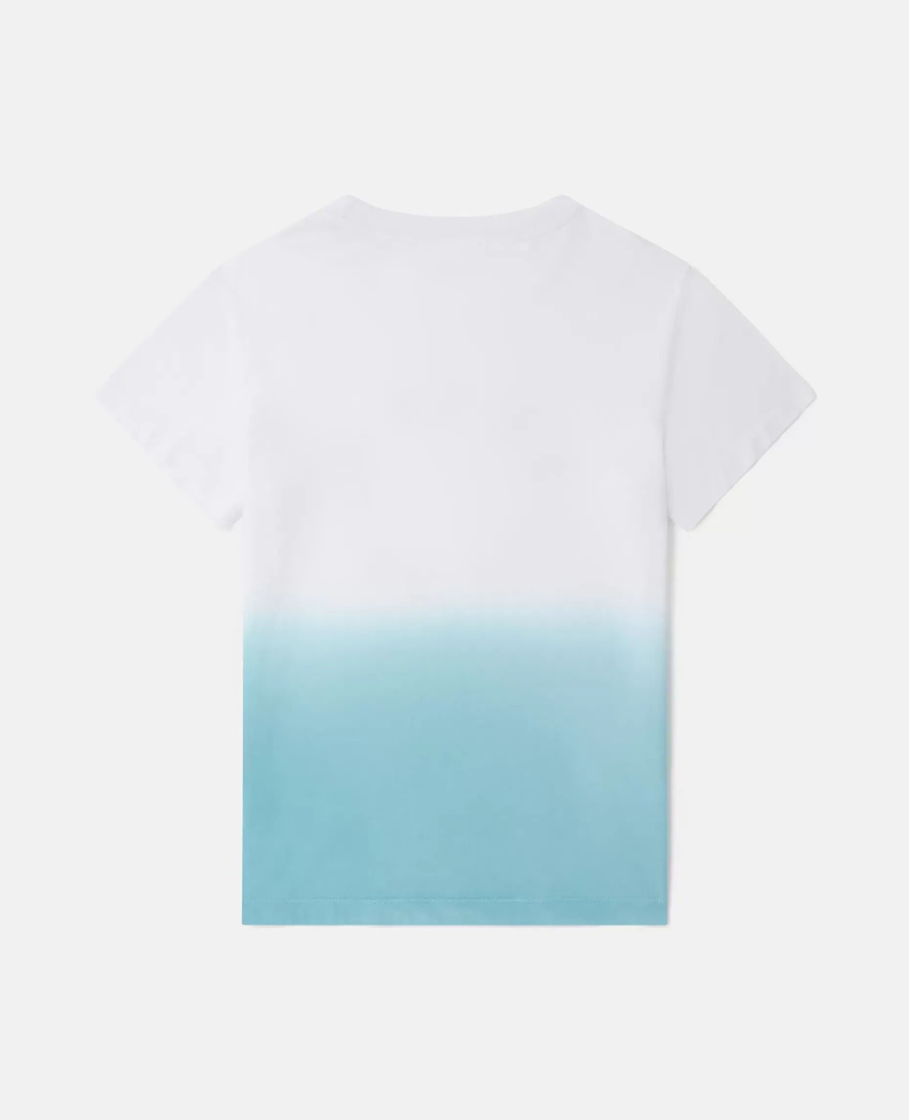 Medallion Logo Ombre T-Shirt