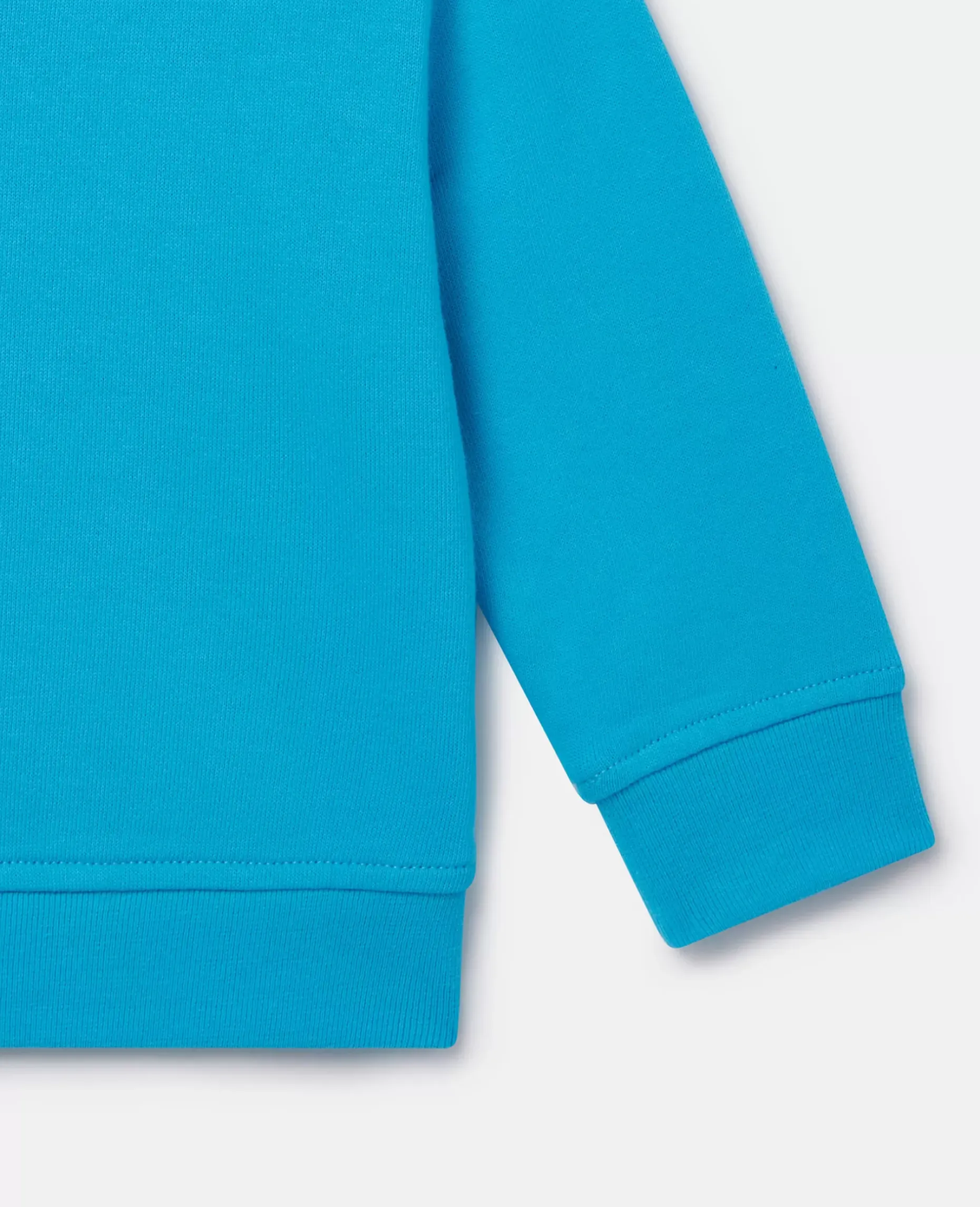 Seagull Bandit Sweatshirt